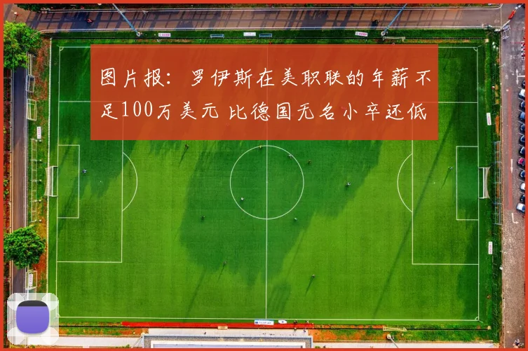 图片报：罗伊斯在美职联的年薪不足100万美元 比德国无名小卒还低