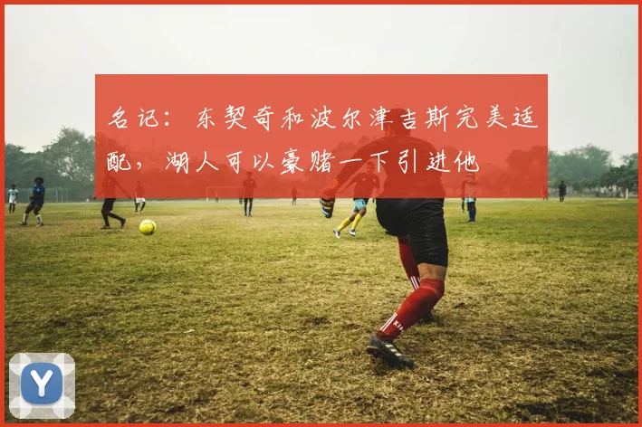 名记：东契奇和波尔津吉斯完美适配，湖人可以豪赌一下引进他